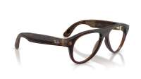 Ray-Ban Meta aviator Gen 3 RW4016 6912JD 54-18 Transparent Umber