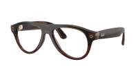 Ray-Ban Meta aviator Gen 3 RW4016 6912JD 54-18 Transparent Umber