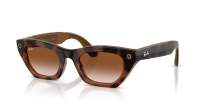 Ray-Ban Meta zena Gen 3 RW4015 690513 49-22 Havana