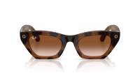 Ray-Ban Meta zena Gen 3 RW4015 690513 49-22 Havana