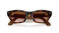 Ray-Ban Meta zena Gen 3 RW4015 690513 49-22 Havana