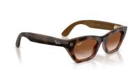 Ray-Ban Meta zena Gen 3 RW4015 690513 49-22 Havana