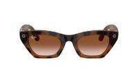 Ray-Ban Meta zena Gen 3 RW4015 690513 49-22 Havana