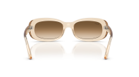 Ray-Ban RB2221 690251 53-18 Transparent nude