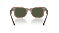 Ray-Ban Wayfarer RB2140 682731 50-22 Transparent light brown