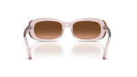 Ray-Ban RB2221 6901A5 53-18 Transparent Pink