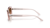 Ray-Ban RB2221 6901A5 53-18 Transparent Pink