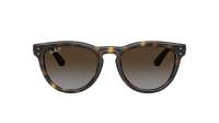 Ray-Ban RB2237 710/T5 51-20 Havana