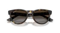 Ray-Ban RB2237 710/T5 51-20 Havana