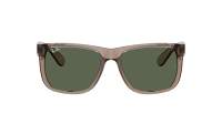 Ray-Ban Justin RB4165 691871 51-16 Transparent Brown