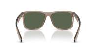 Ray-Ban Justin RB4165 691871 51-16 Transparent Brown