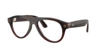 Ray-Ban Meta aviator Gen 3 RW4016V 8532 54-18 Transparent Umber