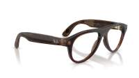 Ray-Ban Meta aviator Gen 3 RW4016V 8532 54-18 Transparent Umber