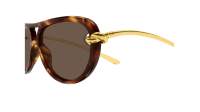 Bottega Veneta Knot BV1418S 007 58-15 Havana