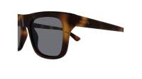 Gucci Institutional logo GG2242S 002 51-20 Havana