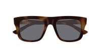 Gucci Institutional logo GG2242S 002 51-20 Havana