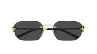 Gucci Emblem GG2228S 001 57-18 Gold