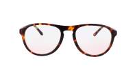 Cactus CEM33092025OV C3 53-19 Tortuga