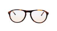 Cactus CEM33092025OV C4 53-19 Tortuga