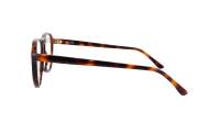 Cactus CEM33092025OV C4 53-19 Tortoise