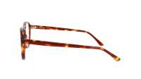 Cactus CEM33092025OV C1 53-19 Tortoise