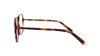 Cactus VIC01112025O C2 54-16 Tortoise