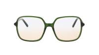 Cactus VIC01112025O C4 54-16 Green
