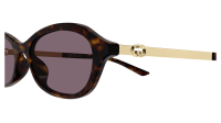 Gucci Emblem GG2212S 003 52-17 Havana