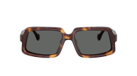 Oliver peoples Edition 9 Jil sander OV5643SU 1007B1 56-18 Dark Mahogany