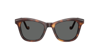 Oliver peoples Edition 10 Jil sander OV5642SU 1007B1 51-19 Dark Mahogany