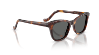 Oliver peoples Edition 10 Jil sander OV5642SU 1007B1 51-19 Dark Mahogany