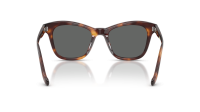 Oliver peoples Edition 10 Jil sander OV5642SU 1007B1 51-19 Dark Mahogany