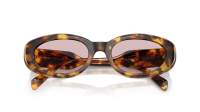 Miu Miu MU C01S 14L4I0 53-20 Havana Honey