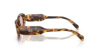 Miu Miu MU C01S 14L4I0 53-20 Havana Honey