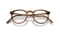 Oliver peoples O'malley OV5183 1011 50-22 Raintree