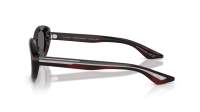 Oliver peoples 1969c OV5513SU 1675B1 53-19 Bordeaux Bark