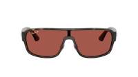 Ray-Ban RB2233 710/1B 29-129 Havana