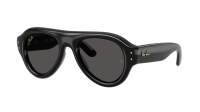 Ray-Ban Wayfarer puffer RB4925 601/87 50-21 Noir