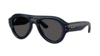 Ray-Ban Aviator puffer RB4925 689587 52-21 Dark Blue
