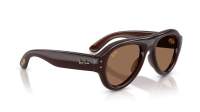 Ray-Ban Wayfarer puffer RB4925 689673 50-21 Dark Transparent Brown