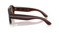 Ray-Ban Aviator puffer RB4925 689673 50-21 Dark Transparent Brown