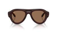 Ray-Ban Aviator puffer RB4925 689673 52-21 Dark Transparent Brown