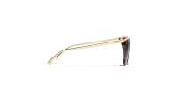 CHANEL CH4301 1851/63 54-17 Dark Havana + Gold