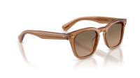 Oliver peoples Arilss OV5632SU 1783GN 50-21 Carob