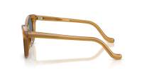 Oliver peoples Edition 10 OV5642SU 1578R8 51-19 Amber