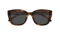 Saint Laurent Monogram SL M176 003 53-20 Havana