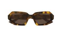 Bottega Veneta Ribbon BV1502S 002 54-18 Brown
