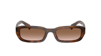 Prada PR B06S 20D90P 53-19 Juniper Tortoise