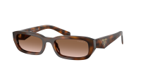 Prada PR B06S 20D90P 53-19 Juniper Tortoise