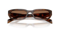 Prada PR B06S 20D90P 53-19 Juniper Tortoise
